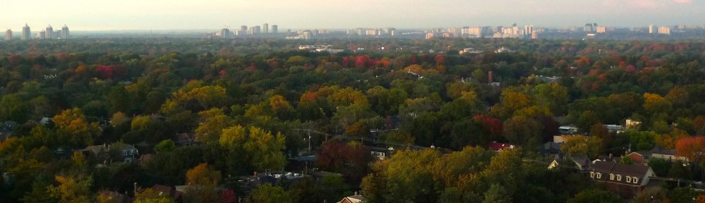 Chroniques de Toronto