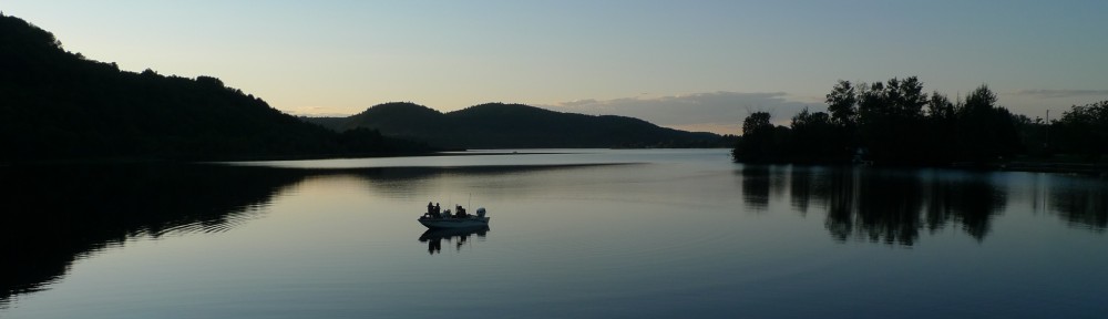 Chroniques de Toronto