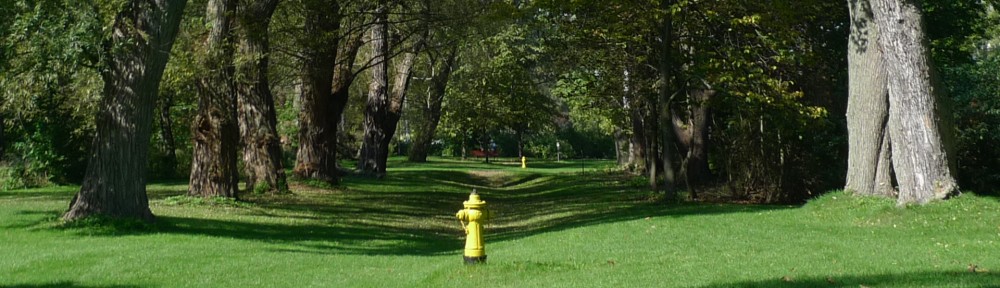 Chroniques de Toronto