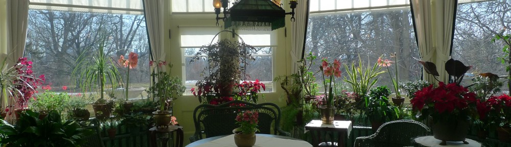 Chroniques de Toronto